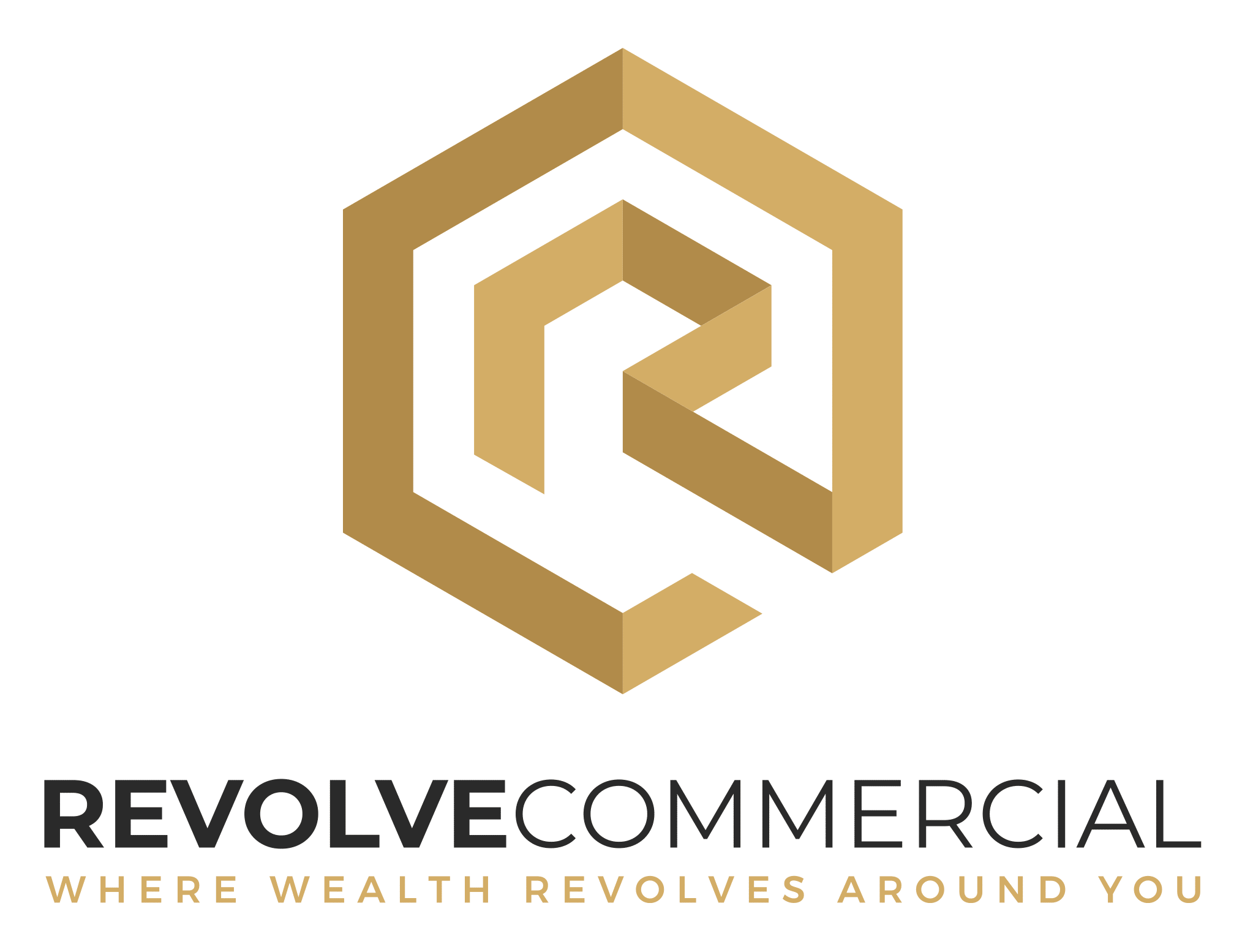 REVOLVE PRIMARY - Logo